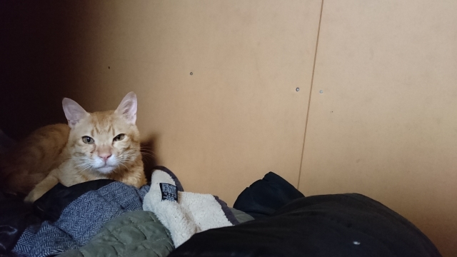 �m���̏�ɂ���L