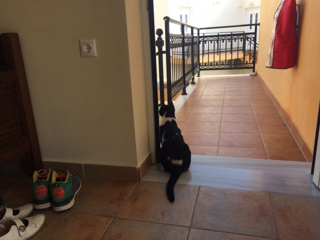 �C�̋߂��ɂ���L