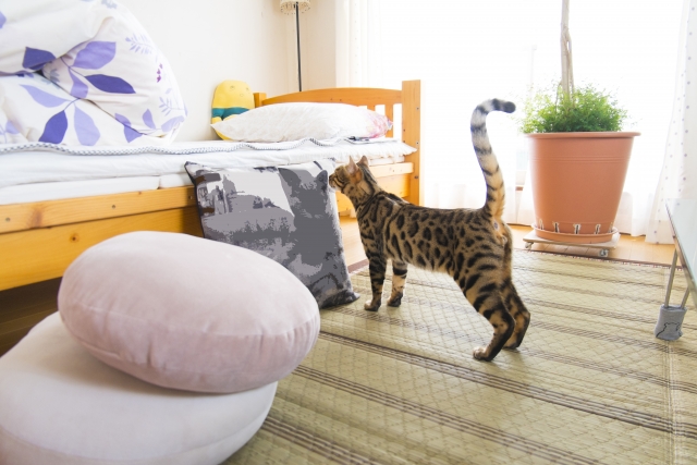 �����ɂ���L