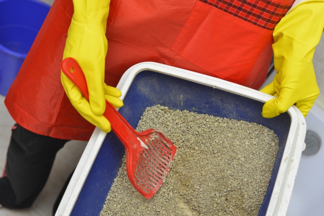 �L�̃g�C����|������l