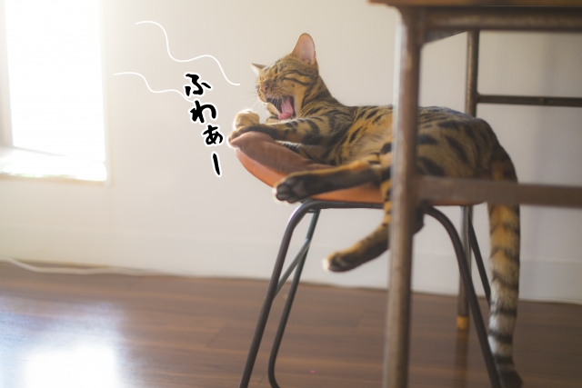 �}�[�L���O������A�����т��Ă��܂����L