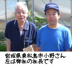 小野さん